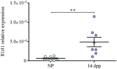 Expression of IL-33 Receptor Is Significantly Up-Regulated in B Cells During Pregnancy and in the Acute Phase of Preterm Birth in Mice